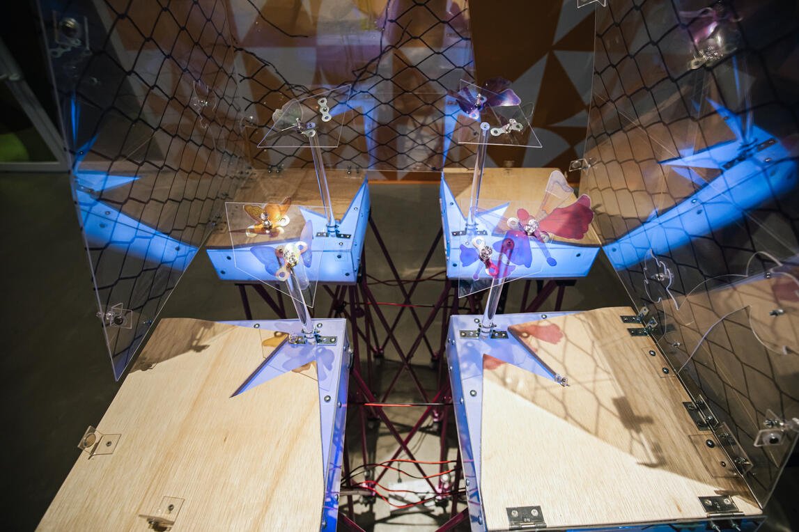 Dance in the Destruction Dance