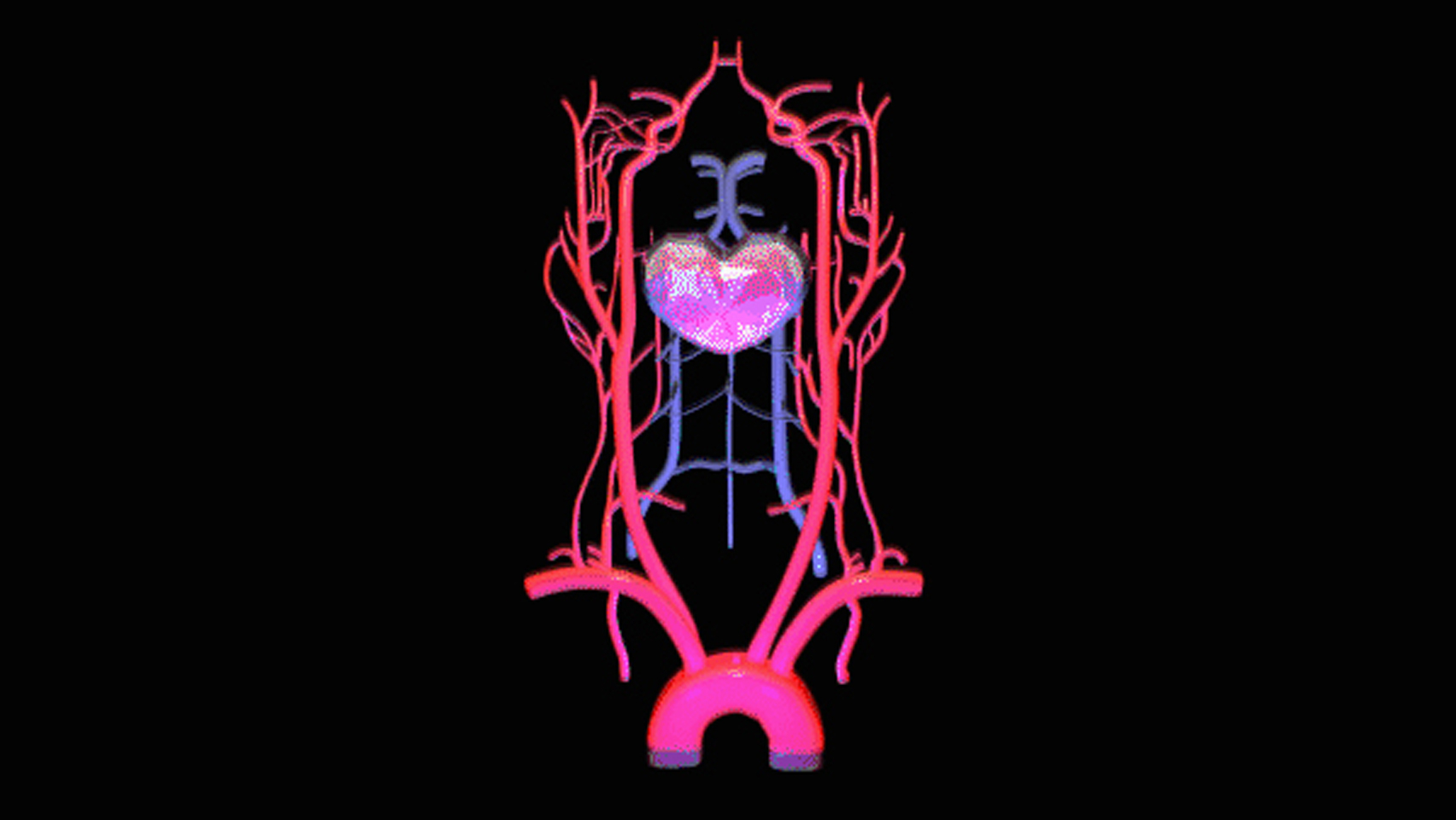 3D Modelling Animated Video Version of Abdominal BASS Cavern Of A Stricken HEART