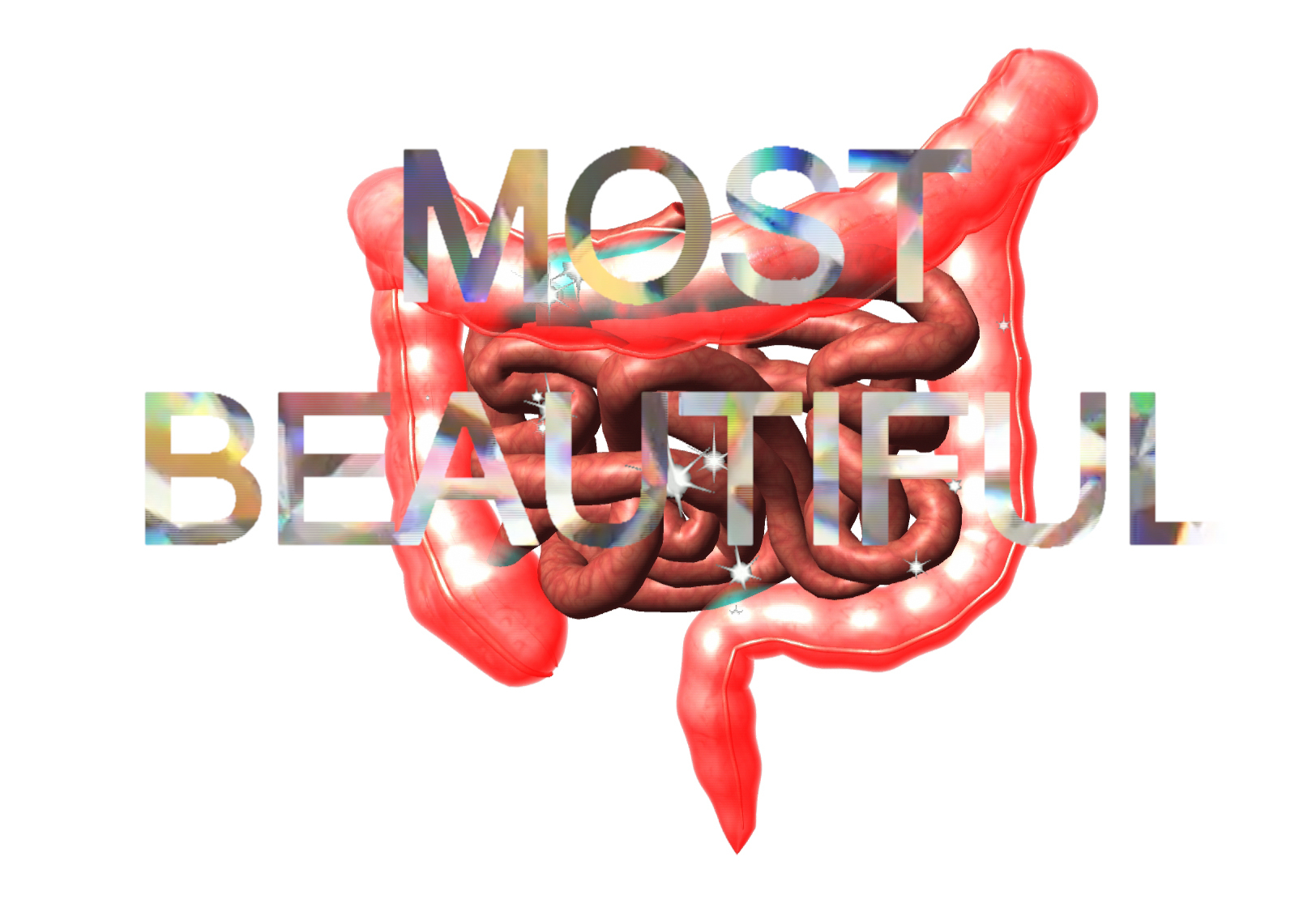 INTESTINOLOGY SERIES: We Have The Most Beautiful Intestine, 2014